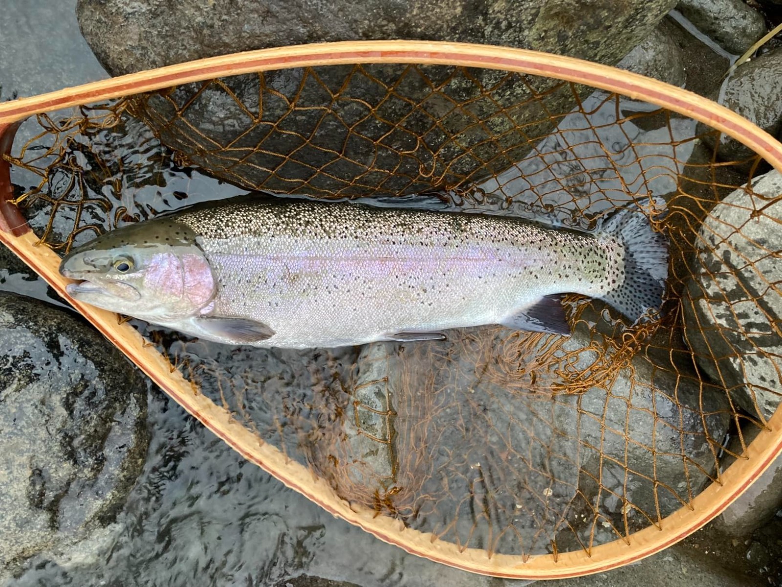 Uozuri Zanmai Nidaime Tenkara Gen 300 3.0m / 9.8ft 7:3 Rod From Japan