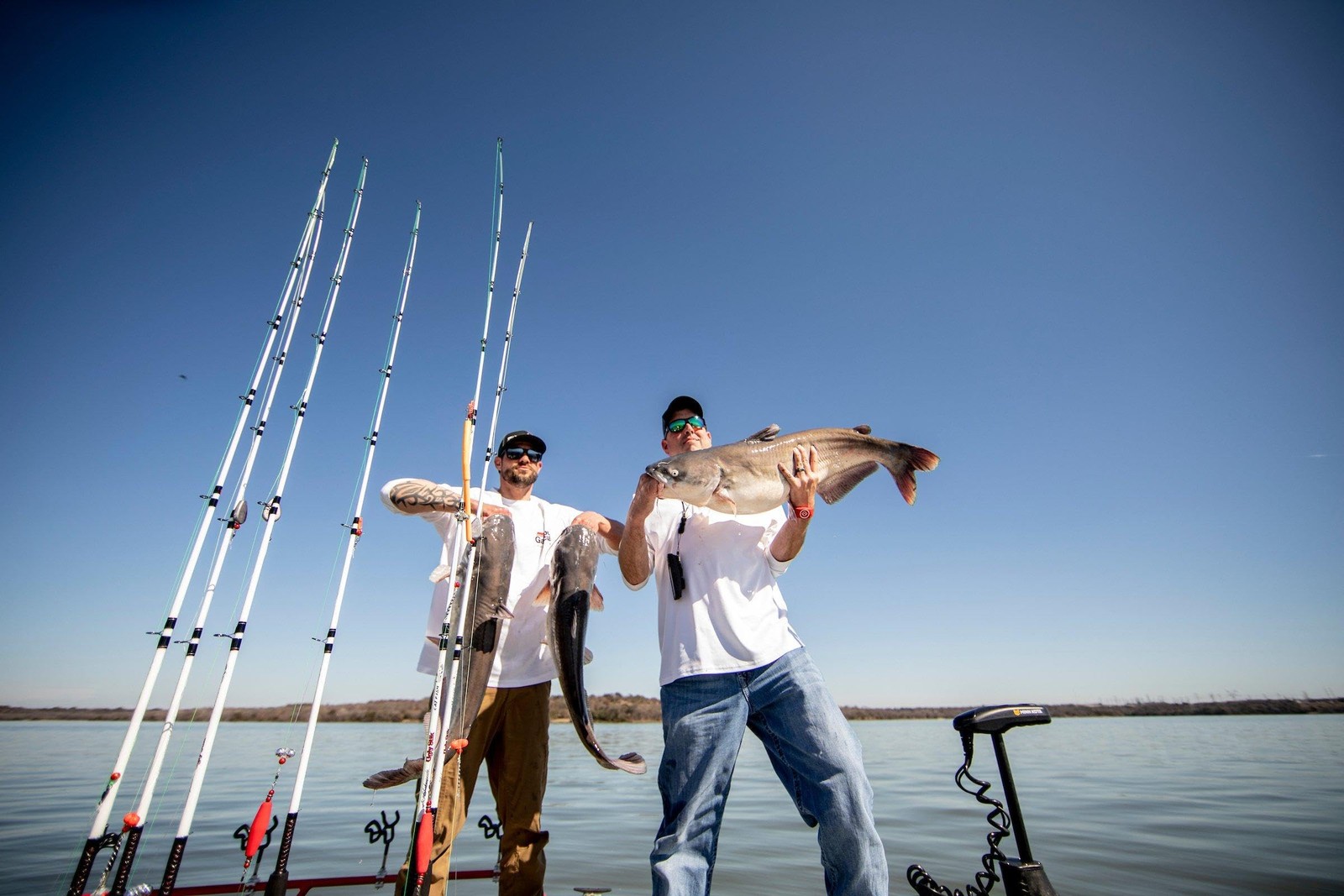 Shakespeare Ugly Stik 7 Catfish Spinning Rod Two Piece Catfish Rod 15-30Lb Line