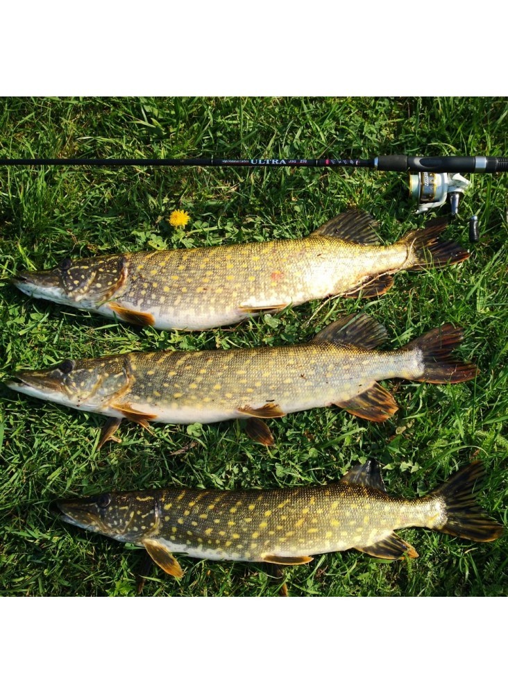 FL Ultra Jig Spinning Rod 2.10/2.40/2.70m 8–25g Pike Zander Bass