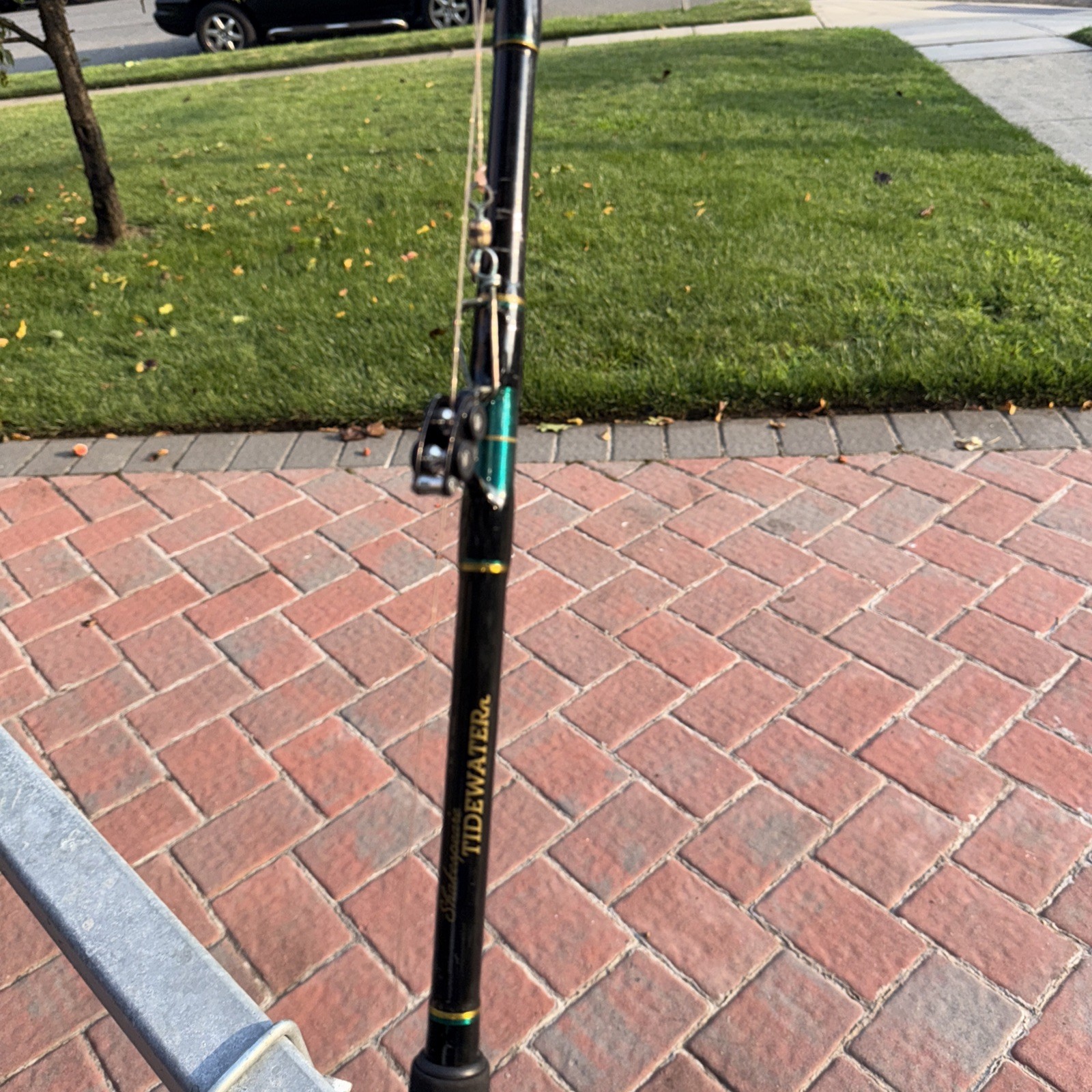 Penn International 50W & Tidewater BTW60 SURR 6’0” 30-80 Fishing Rod Tuna Shark