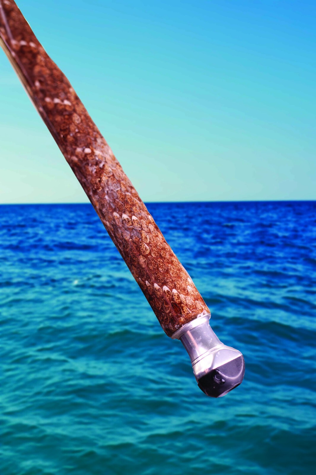 Custom Rattlesnake Fishing Rod Real Rattlesnake Skin Grips with or without Fangs
