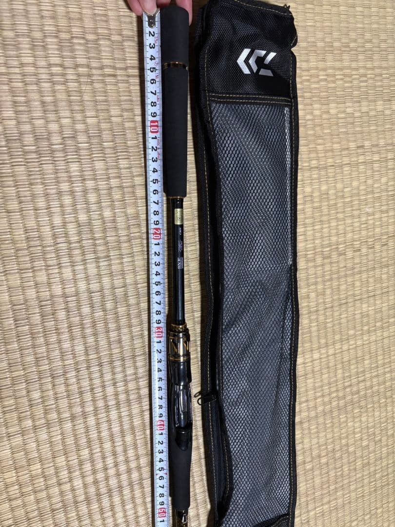 DAIWA Seabass Rod 25 MORETHAN 96M・J