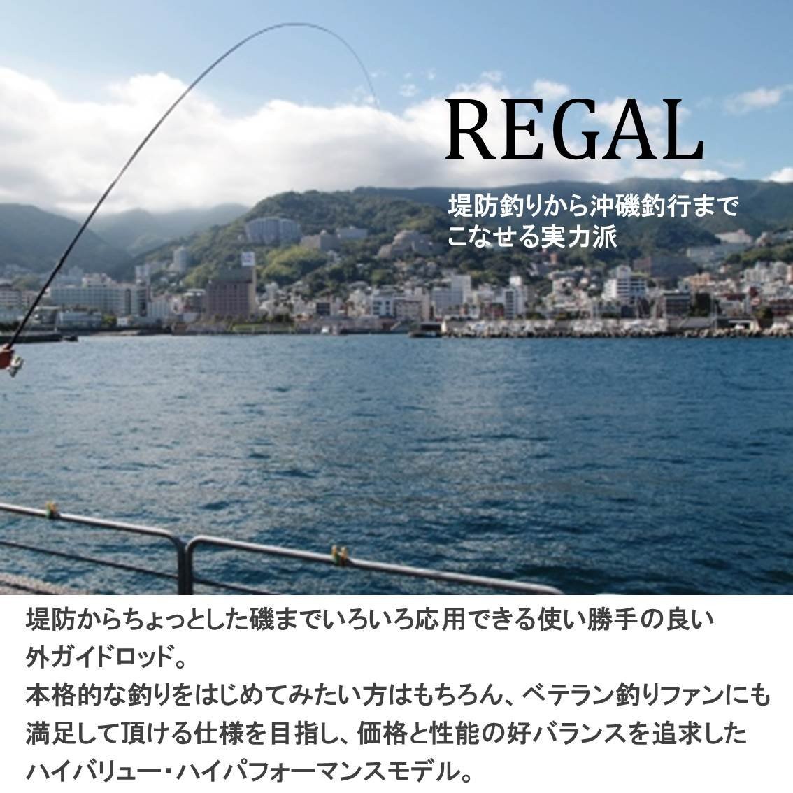 DAIWA Pier Fishing/Sea Fishing/Iso Rod Regal Long Cast 5-53 Long Cast Black