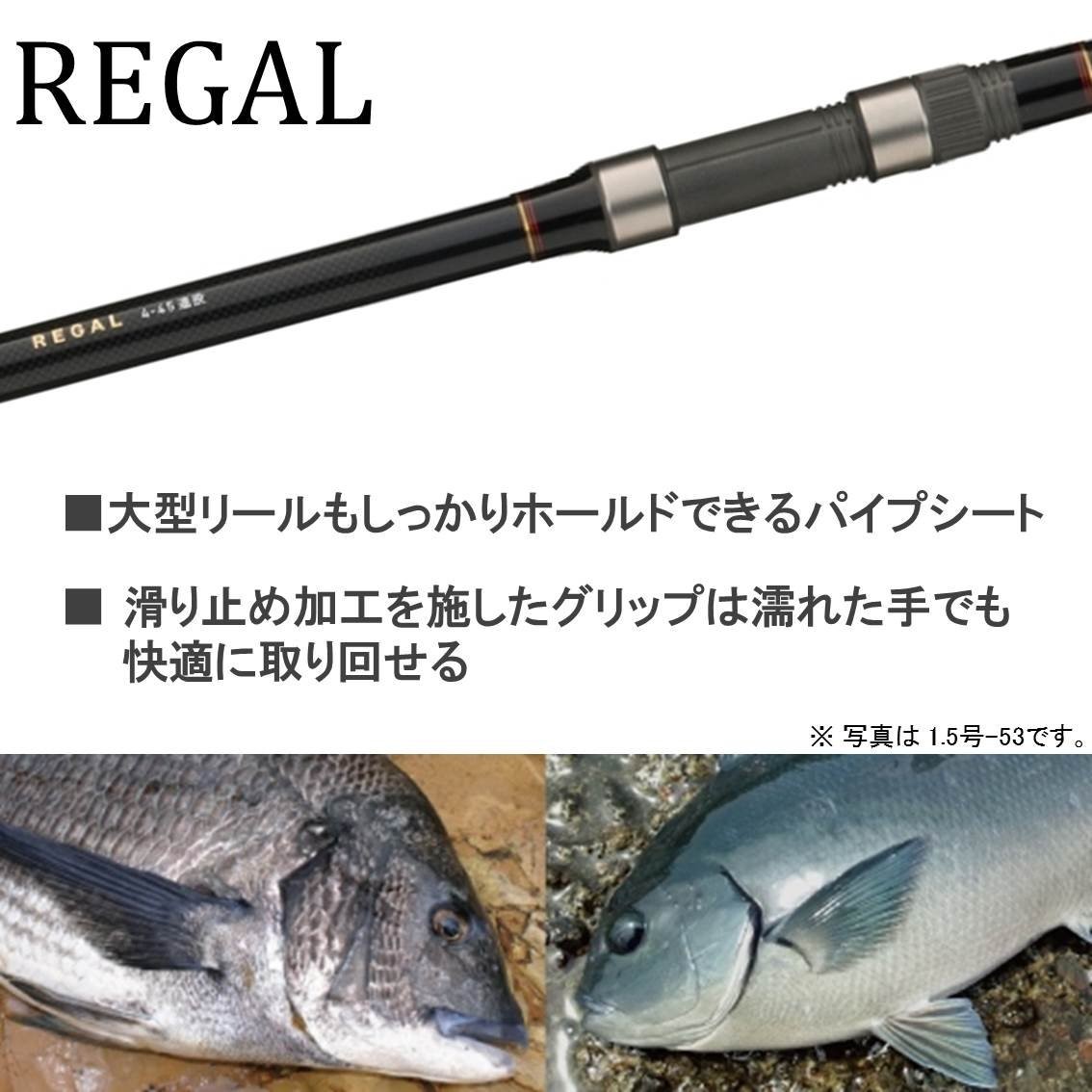 DAIWA Pier Fishing/Sea Fishing/Iso Rod Regal Long Cast 5-53 Long Cast Black