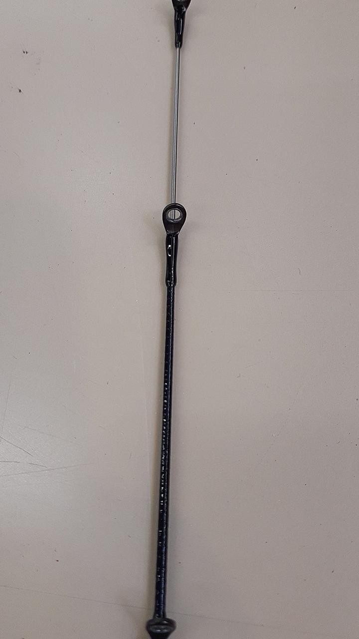 Daiwa Eging Rod 88in/8ft8in, 90g, 2-piece, with case, Fishing Equipment