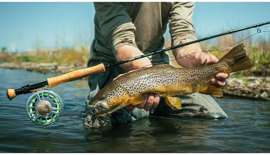 TFO Solution 4wt 9′ Fly Rod | Temple Fork Lifetime Warr. FREE SHIPPING