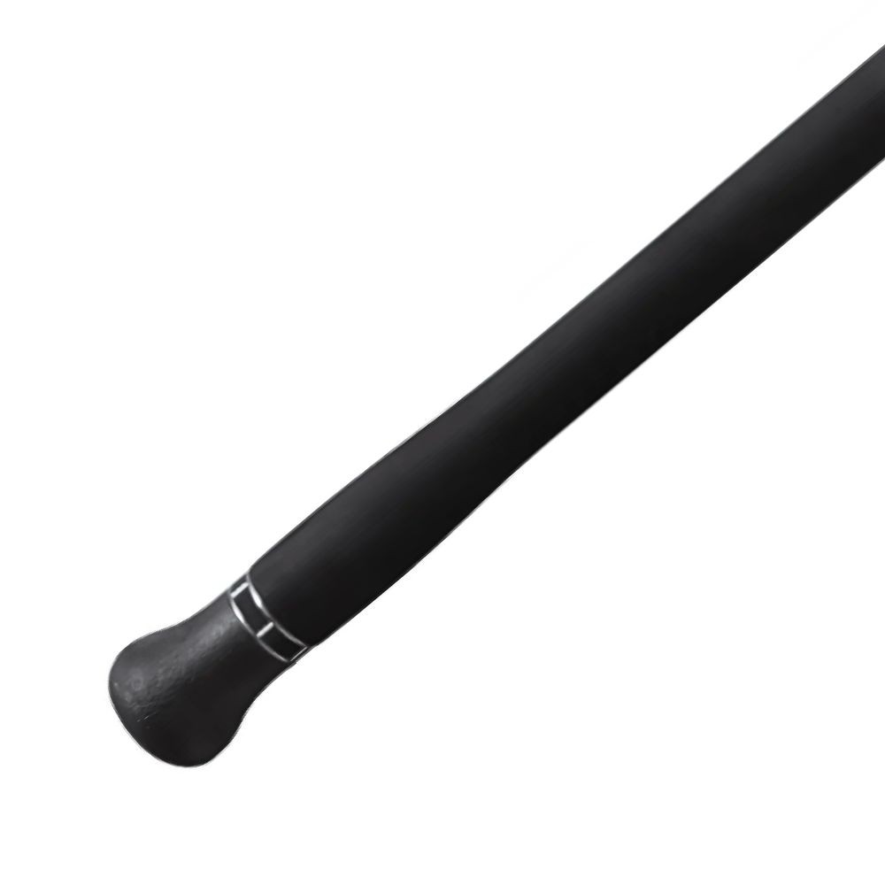 NS Black Hole Ultimate Jigging Rod BOCA BORON S-521