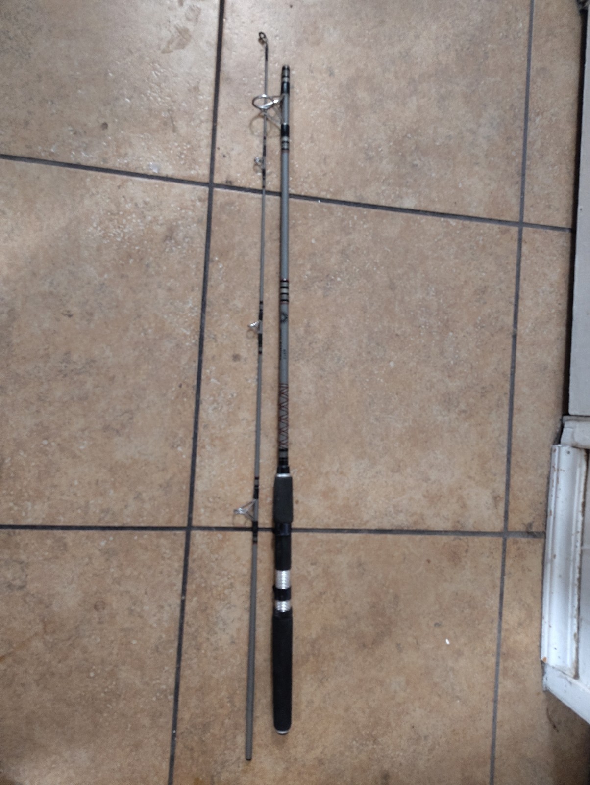 Daiwa Regal Silver Series 6012 6.5′ Medium Light Action Two-piece Fishing Rod