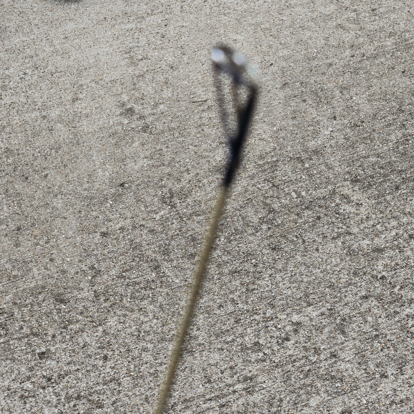 Vtg Martin Reel Fishing Rod 5-001 Made In USA Rare 5ft 10in – No Reel