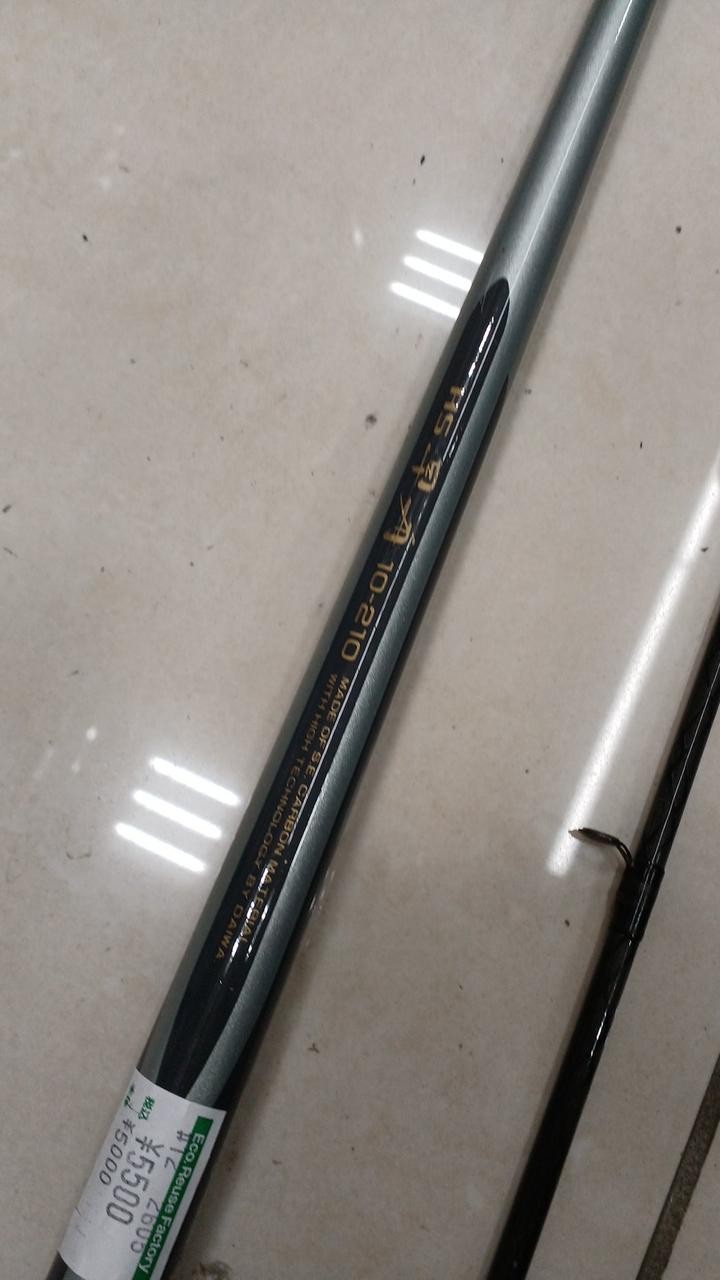 Daiwa HS Hayasune 10-210 Casting Fishing Rod 10ft (120in/305cm) No Warranty