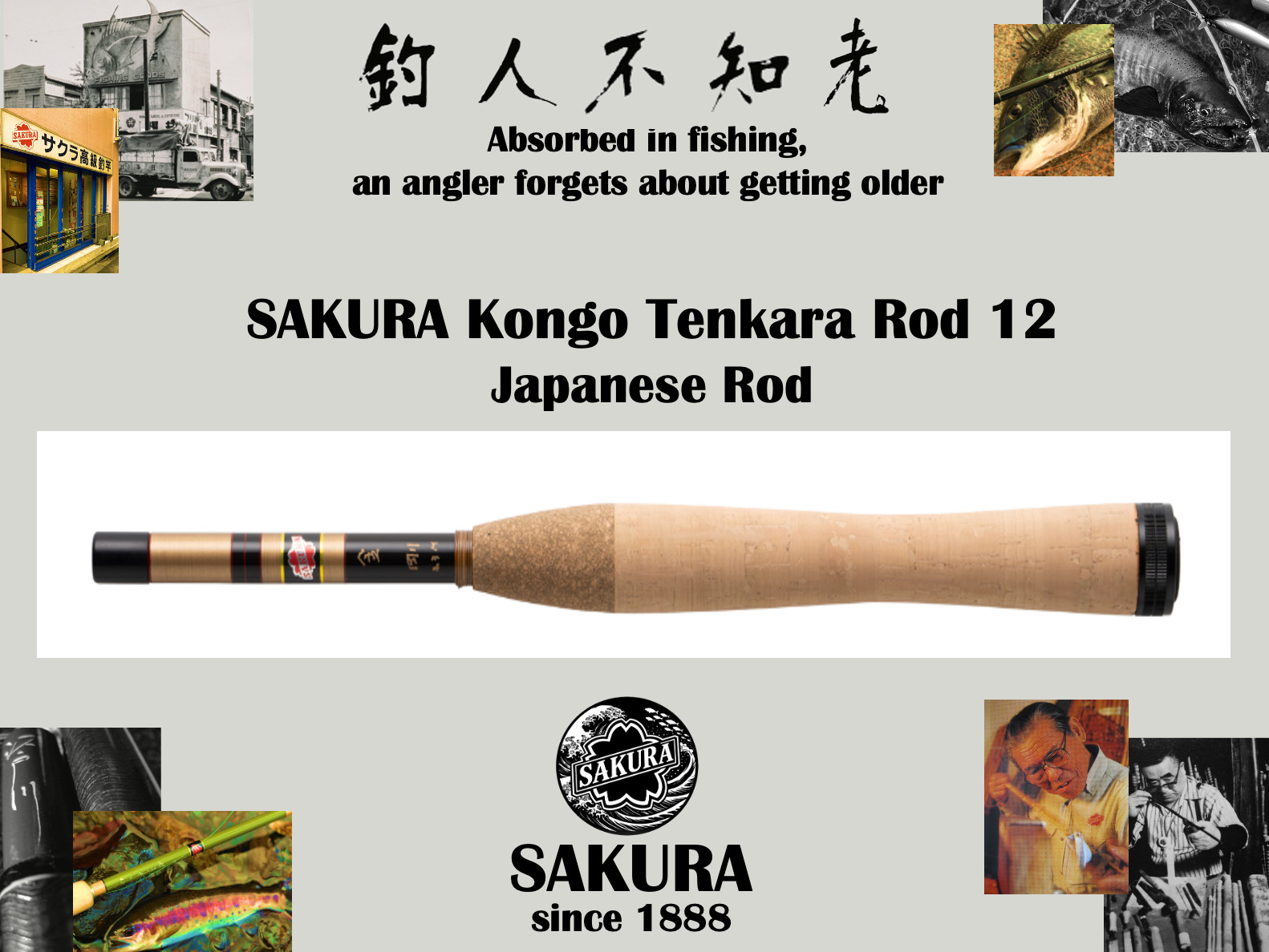 Japanese Fly Fishing Rod All Freshwater Fish 12ft Graphite UL JDM SAKURA Tenkara