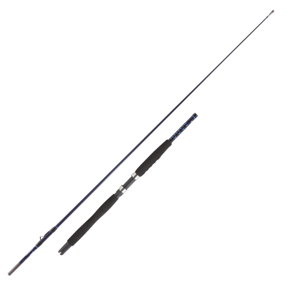 Jenzi fishing rod expure inliner plug rod deep sea rod fishing rod Blue