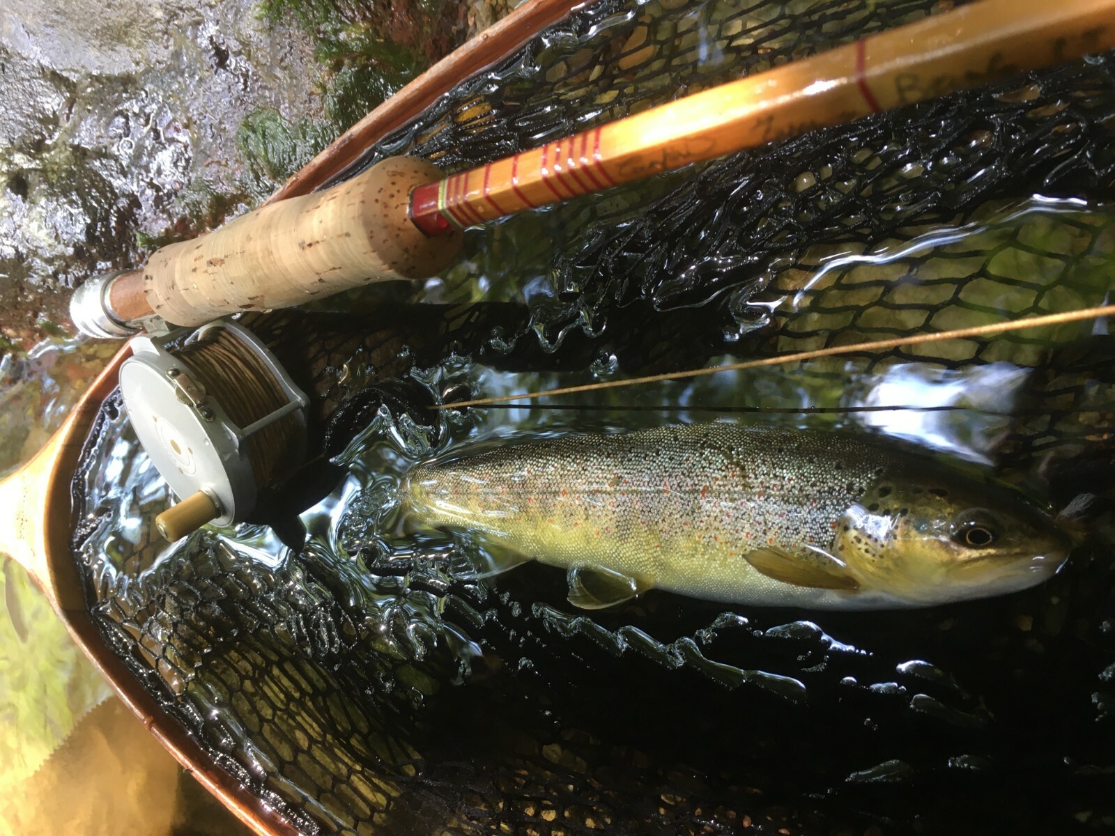 Fly Rod bamboo type brembo 7’9” linea 4#5 .(2TIP)