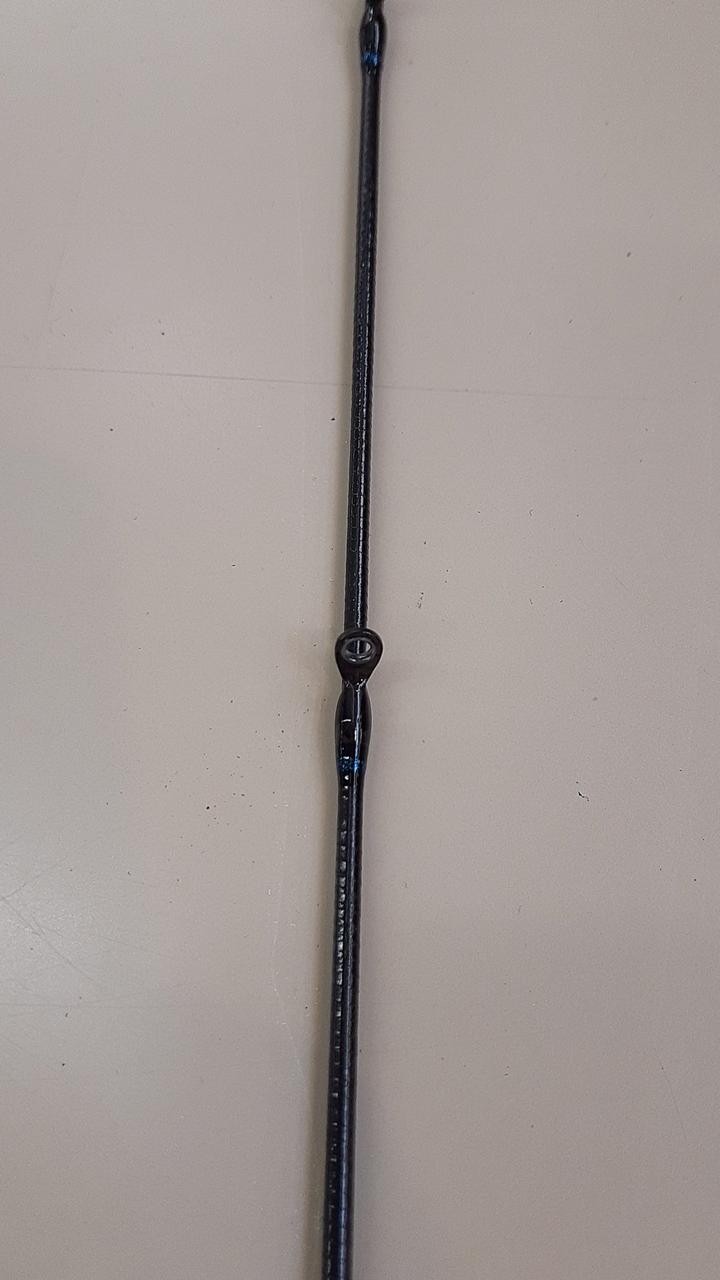 Daiwa Eging Rod 88in/8ft8in, 90g, 2-piece, with case, Fishing Equipment
