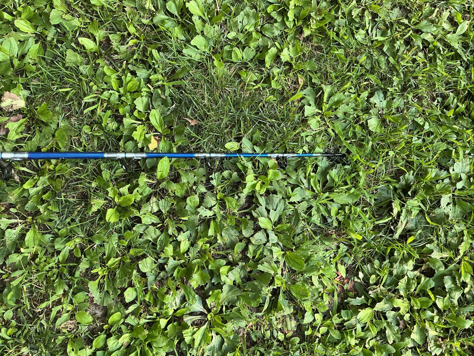 Offshore Bent Butt Fishing Rod