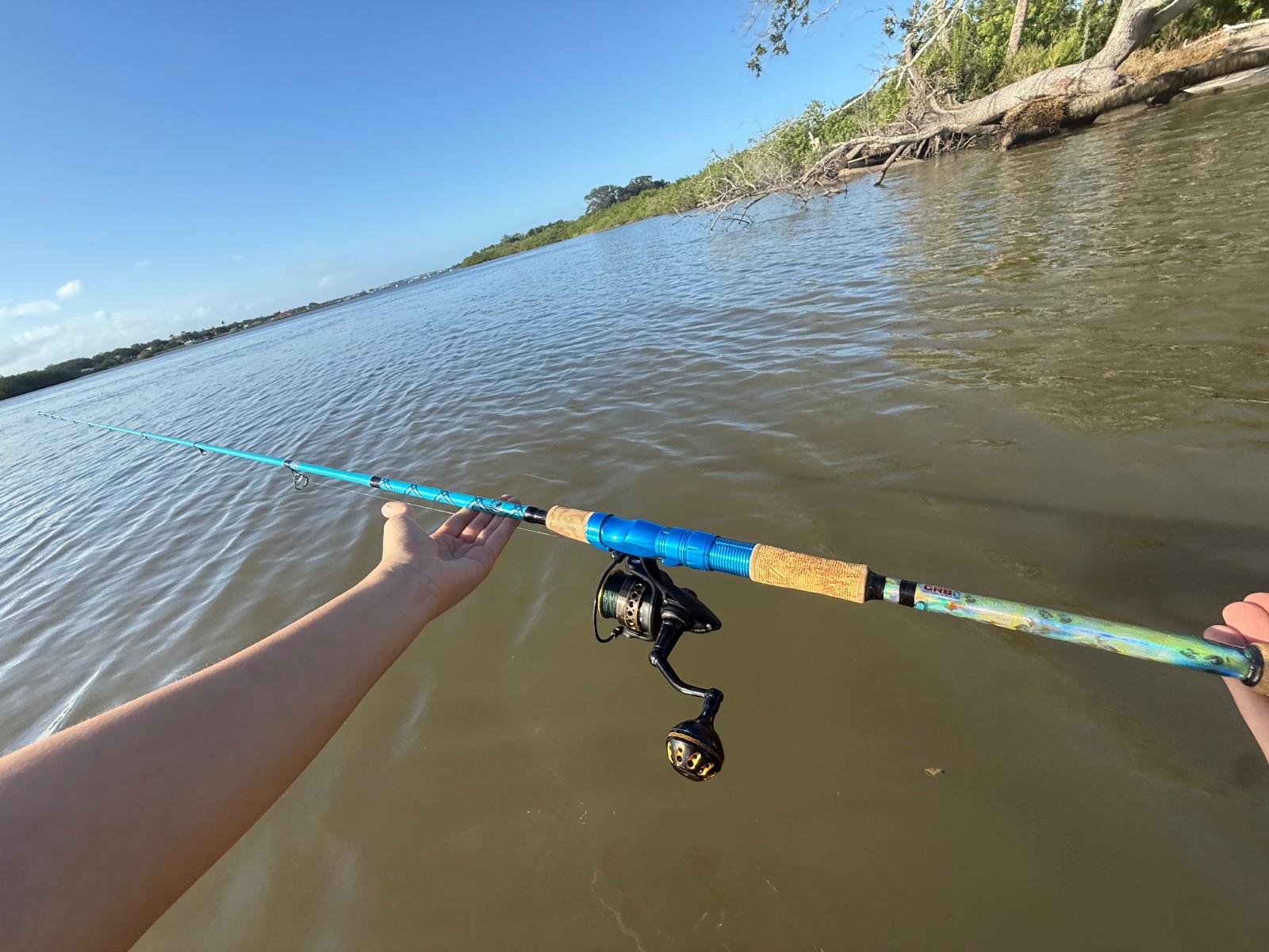 Customizable Blue Stick 12-25lb Casting & Spinning Rods