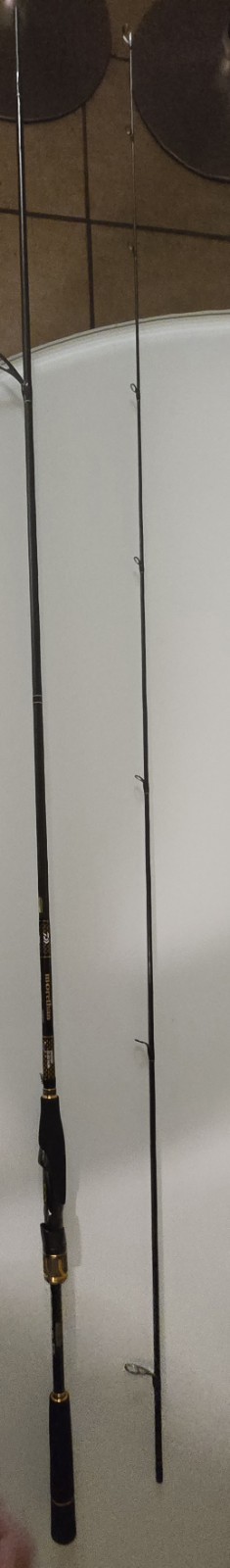 Daiwa Morethan Branzino EX AGS 94LML Fishing Rod Black Gold 30 grams