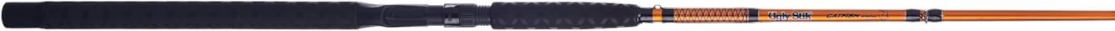 Catfish Special Casting Fishing Rod