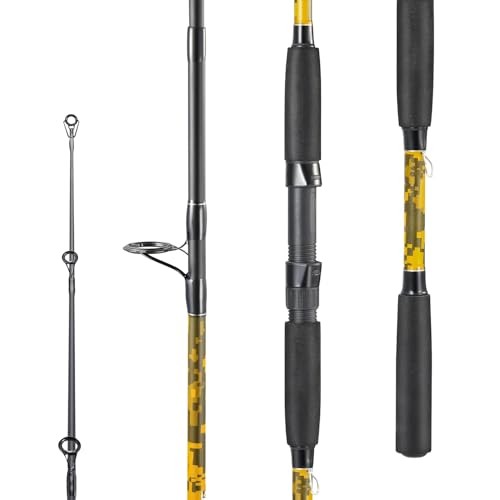 2-Piece Carbon/Glass Composite Spinning & Casting Fishing Rods