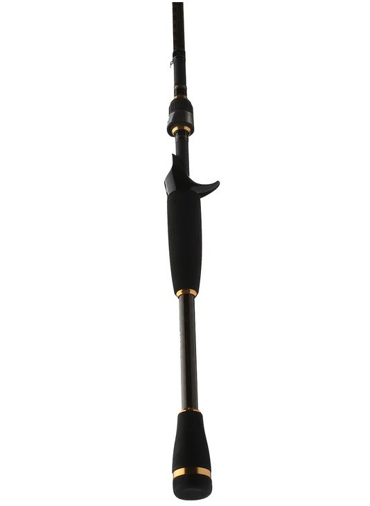 Daiwa Aird-X Casting