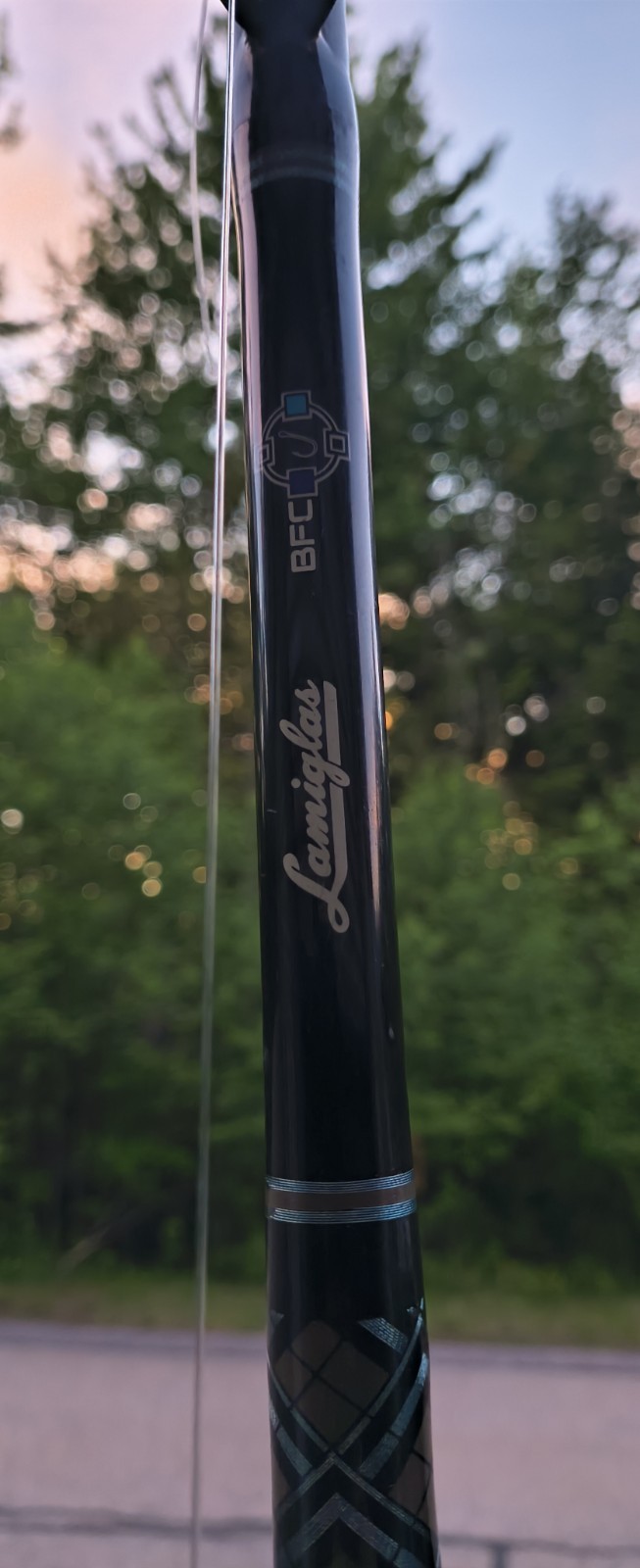 Lamiglas Big Fish Conventional Rod, model BFC66XH.