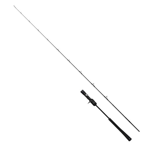 Shimano Game Type J B60-5 Full Bend Jigging Rod 24ft Saltwater Fishing Rod