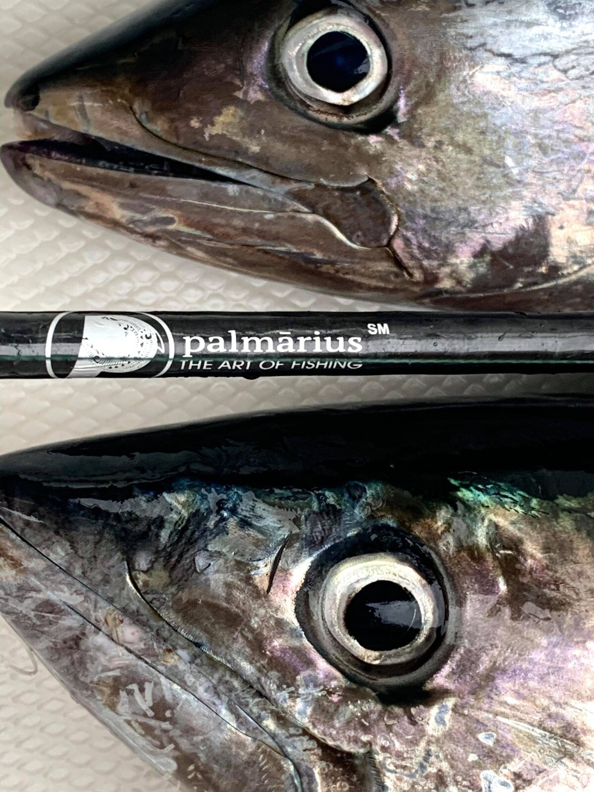 Palmarius P 66-3 200g to 400g ● 7 oz to 12 oz ● EVA ● SiC Torzite ● Acid Wrap