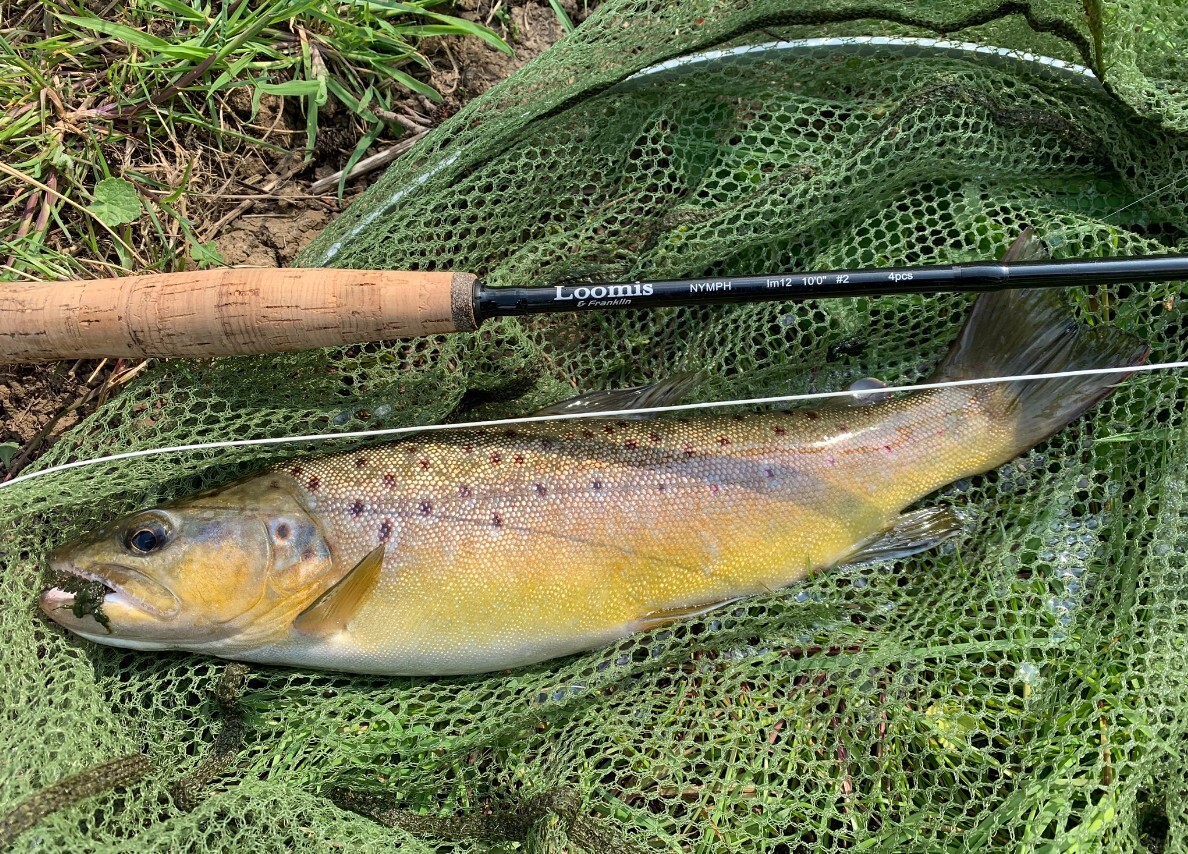 Loomis & Franklin SX EURONYMPH IM8 blank new 2023 10FT/11FT 3/4 WT