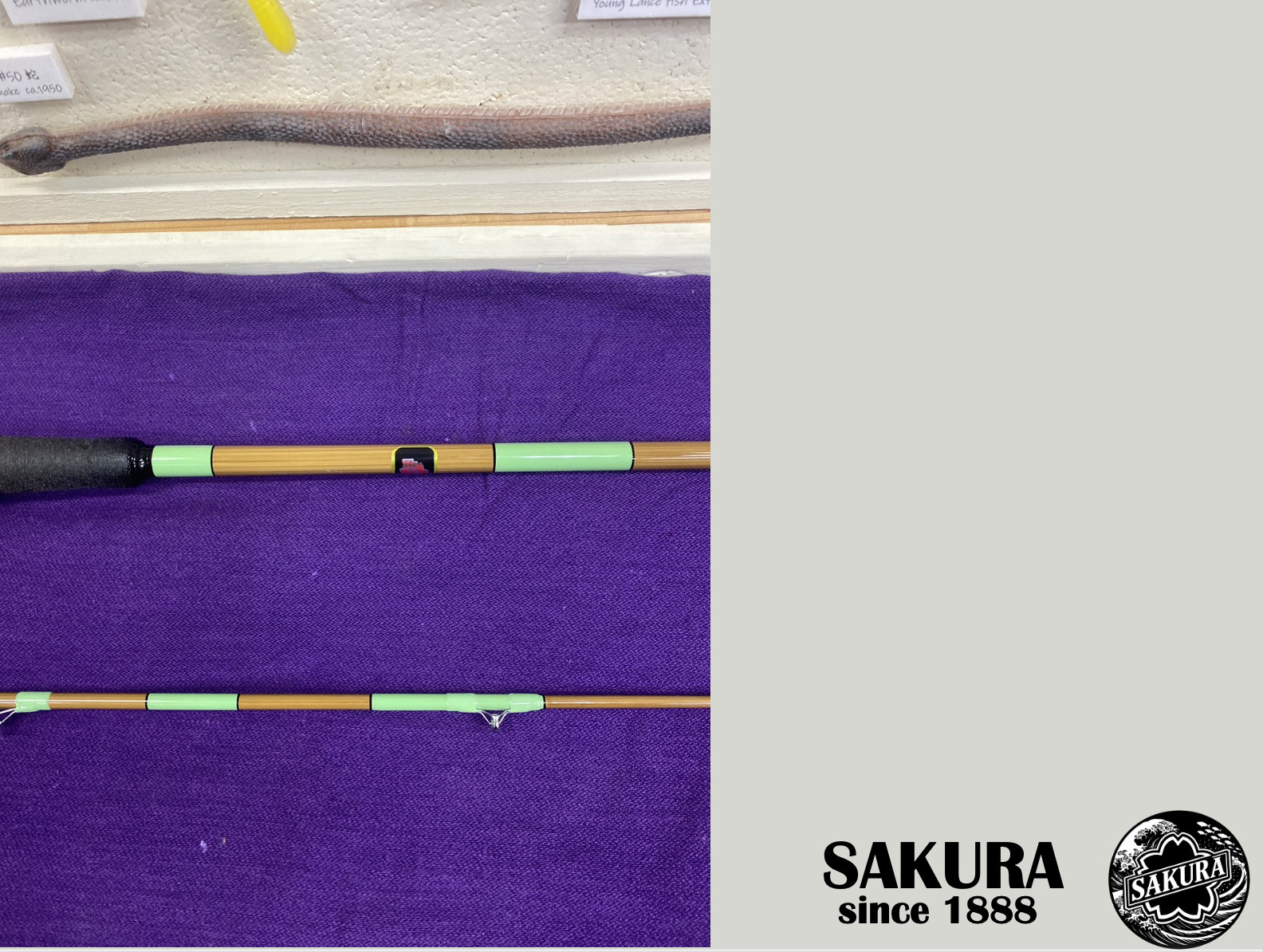 Japanese Spinning & Baitcasting Rod for Saltwater Freshwater Fish L JDM SAKURA