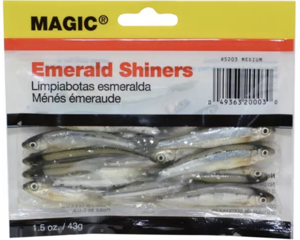 Magic Preserved Emerald Shiners Natural