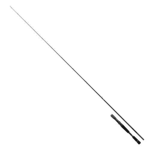 Daiwa 25 BLACK LABEL C65MH-FR Baitcasting Rod for Bass