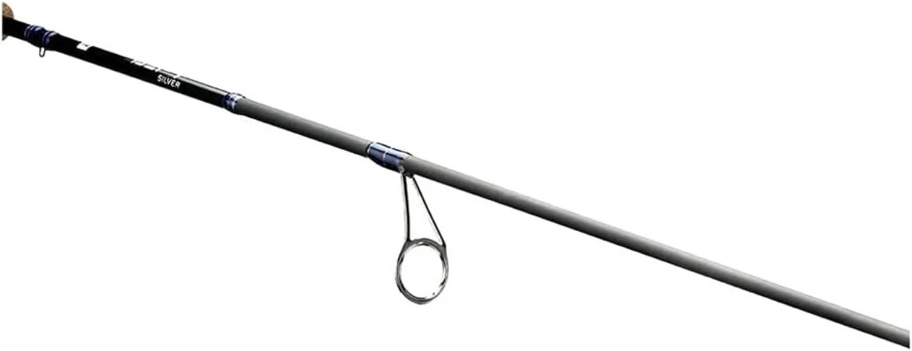 Defy Silver – Spinning Fishing Rods