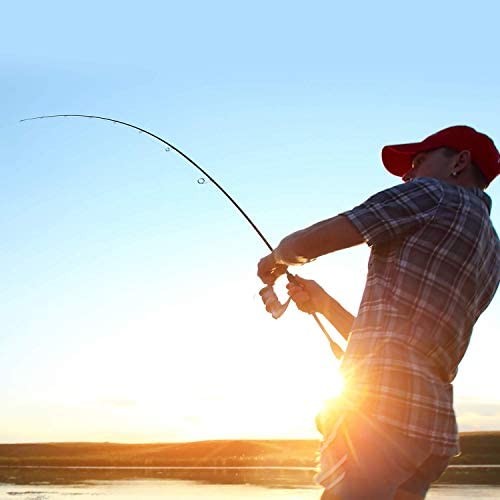 Cadence Essence 2025 Compact Design Spinning Rod Graphite Steel Sic Sensitivity