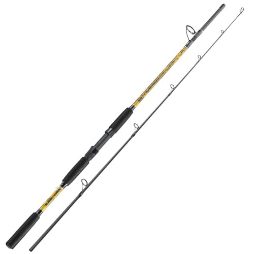 2-Piece Carbon/Glass Composite Spinning & Casting Fishing Rods