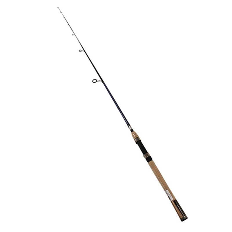 Aird Coastal Inshore Fishing Rod Lightweight Spin Braiding-X Durable Action New