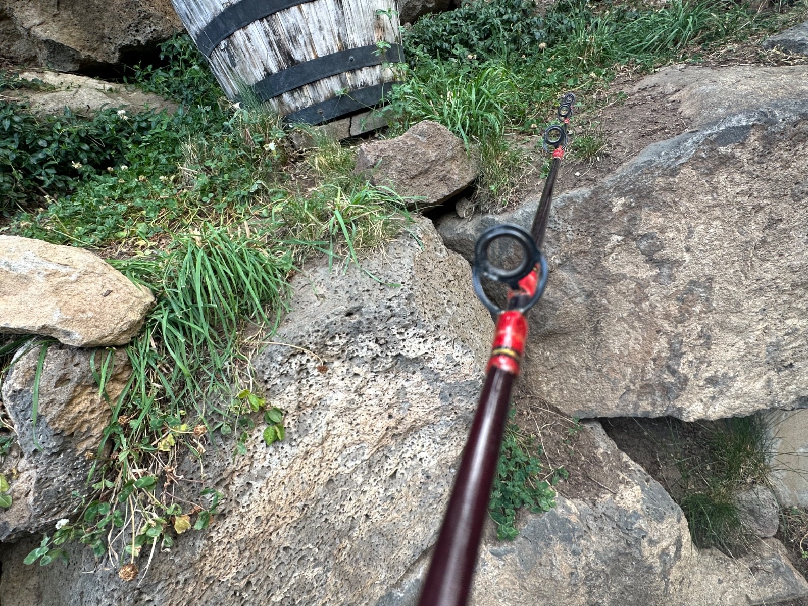 Bass Pro Shops IM7 Graphite Casting Fishing Rod 5′ 6″ 1 Piece Tourney Special