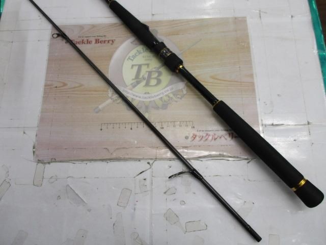 Daiwa Morethan EX AGS98ML Saltwater Rod Shore Used