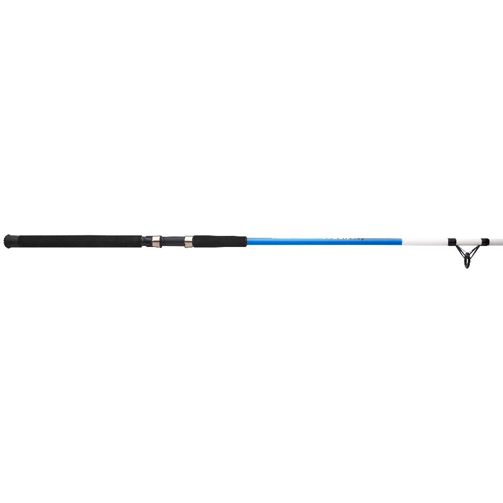 9ft Surf Fishing Rod Medium Heavy Action 2-Piece Saltwater Casting Pole