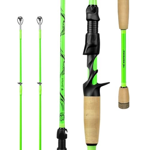 Zephyr Dual Tip Casting Rods & Spinning Fishing Rods, Lightweight KastFlex