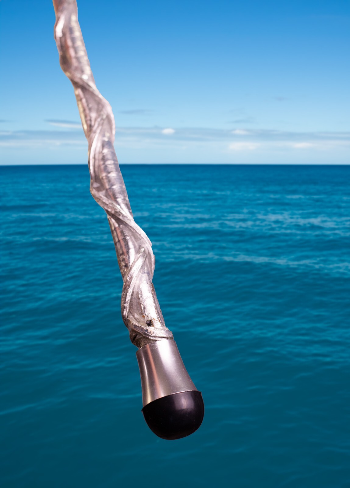 Custom Python Skin Fishing Rod with Real Snake Skin Grips and laminated to tip.