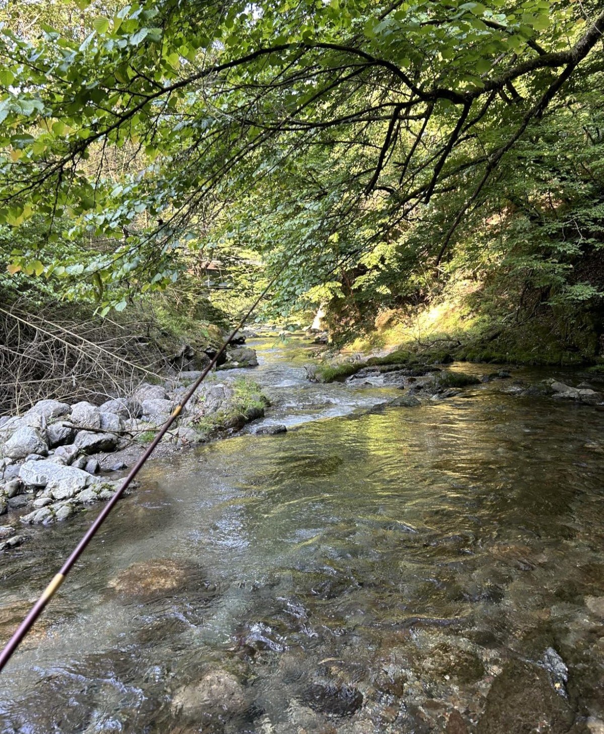 PROX Kenmine Tenkara SE 390 3.9m / 12.8ft 7:3 Rod From Japan