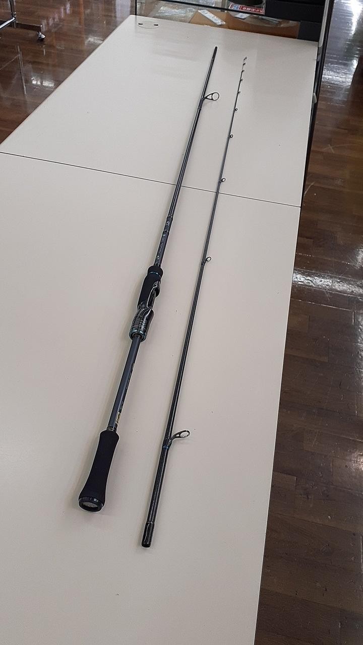 Daiwa Eging Rod 88in/8ft8in, 90g, 2-piece, with case, Fishing Equipment