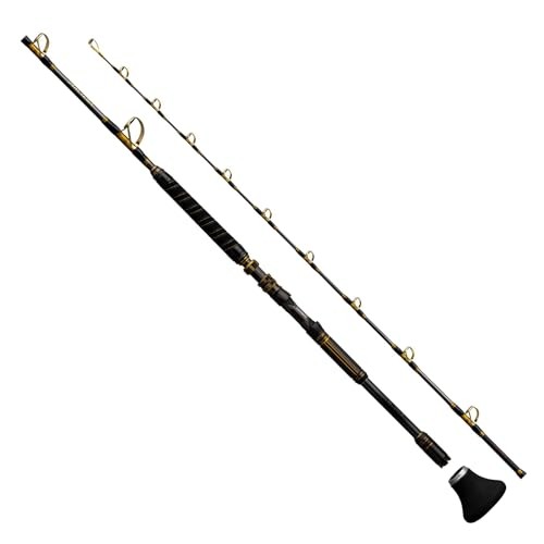 Shimano 25 ARCIERA OYOGASE MH/H200 Live Bait for Tuna Big Game Rod
