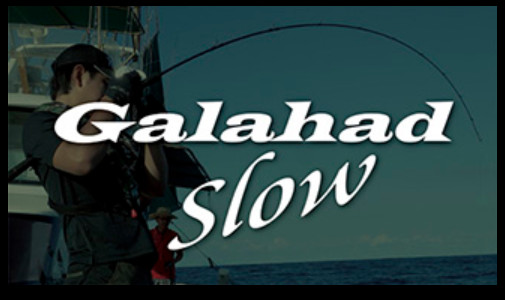 Yamaga Blanks Galahad 62/3 Slow Pitch Jigging Rod Made in Japan **US Seller**