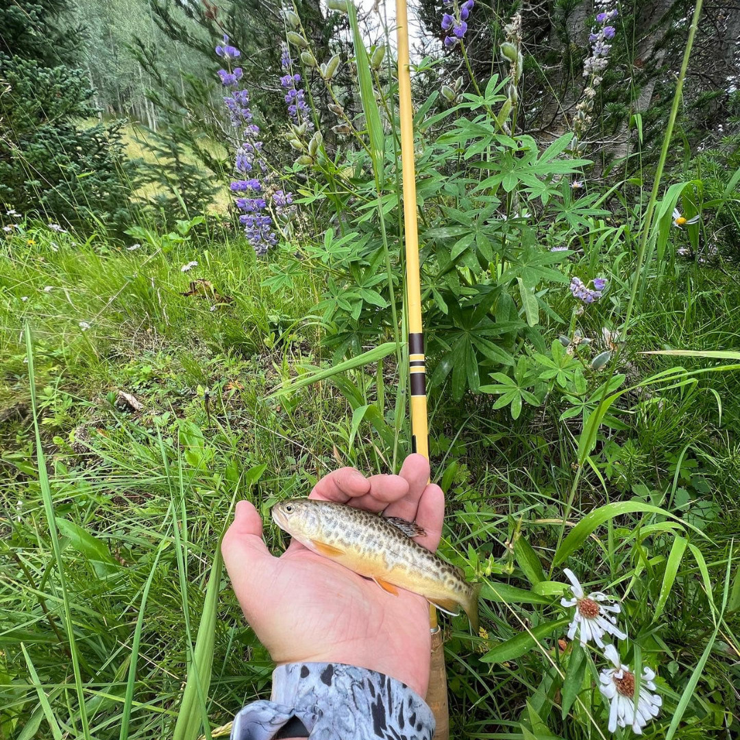 Wasatch Hankyu Middle Fork 9′-12′ Tenkara Rod Carbon Fiber w/ Rod Tube 6.6 oz