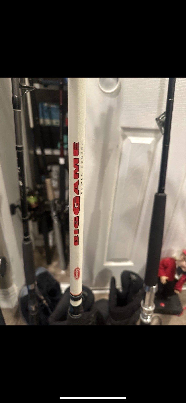 BERKLEY ( BIG GAME) Spinning Rod, 8′-0 MH, Line 12-30lb. (BGS802MH)