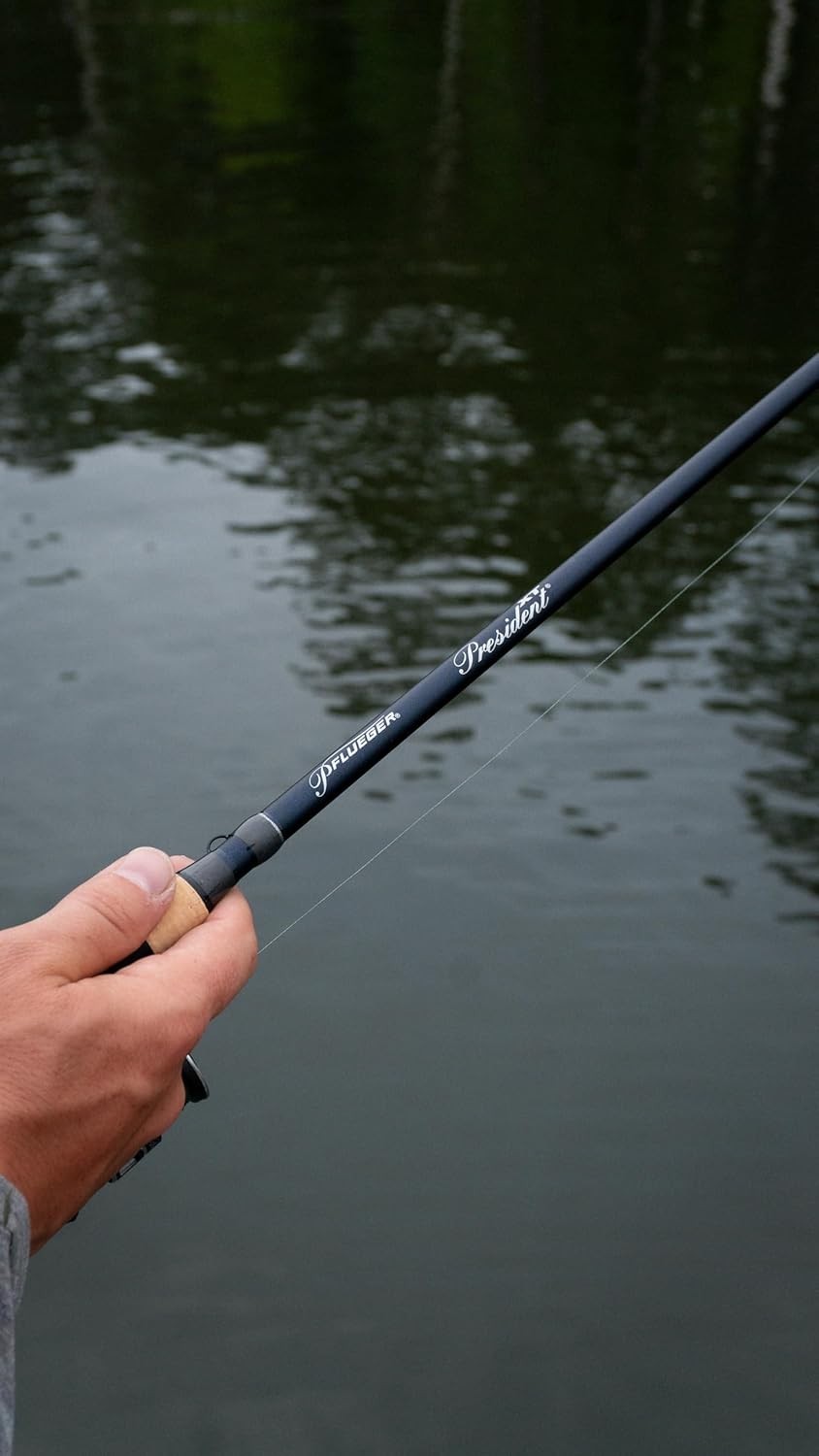 President XT Spinning Rod