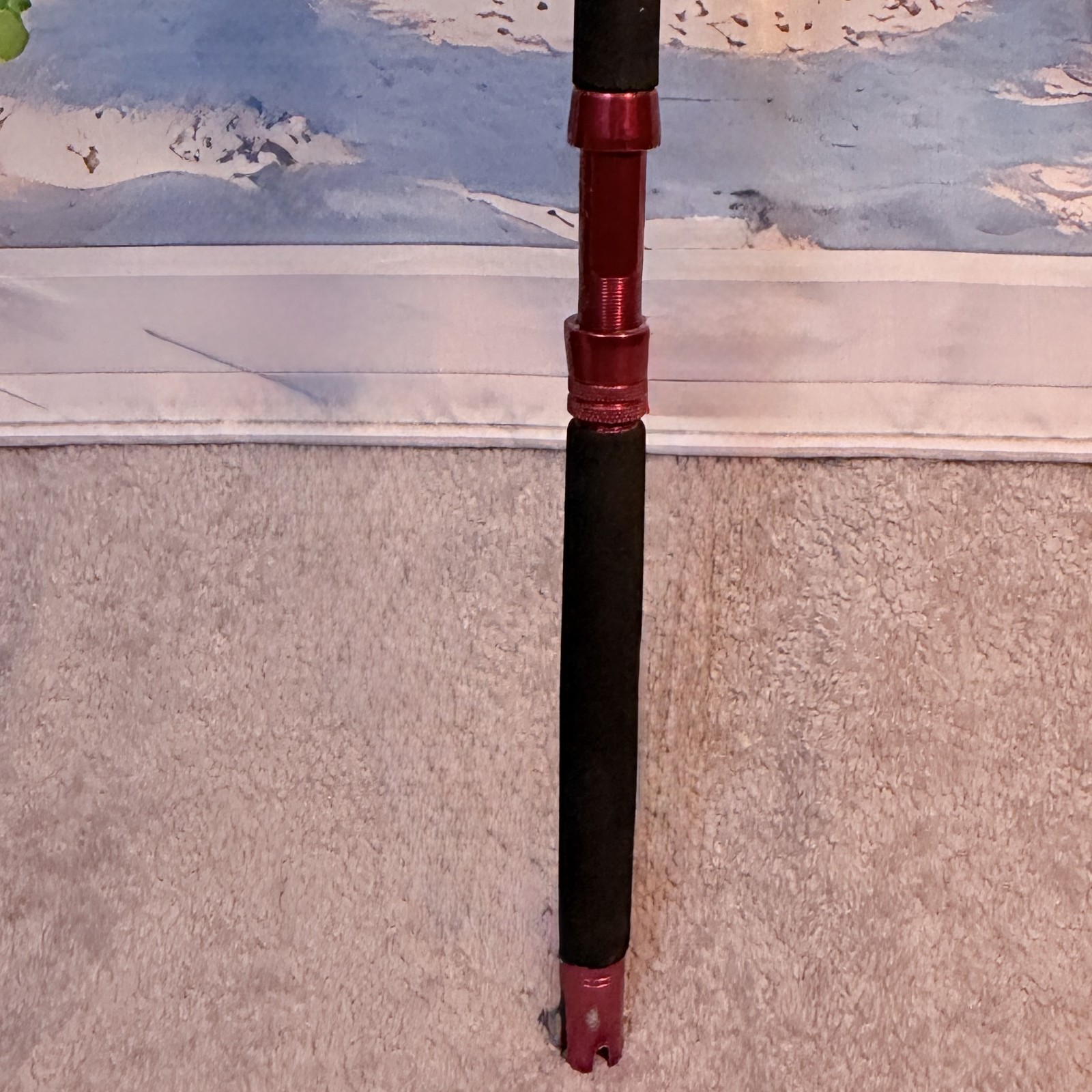 CALSTAR BT-195XH Custom by LONGFIN 15-30lb Saltwater Rod AFTCO-2M 6′ Red