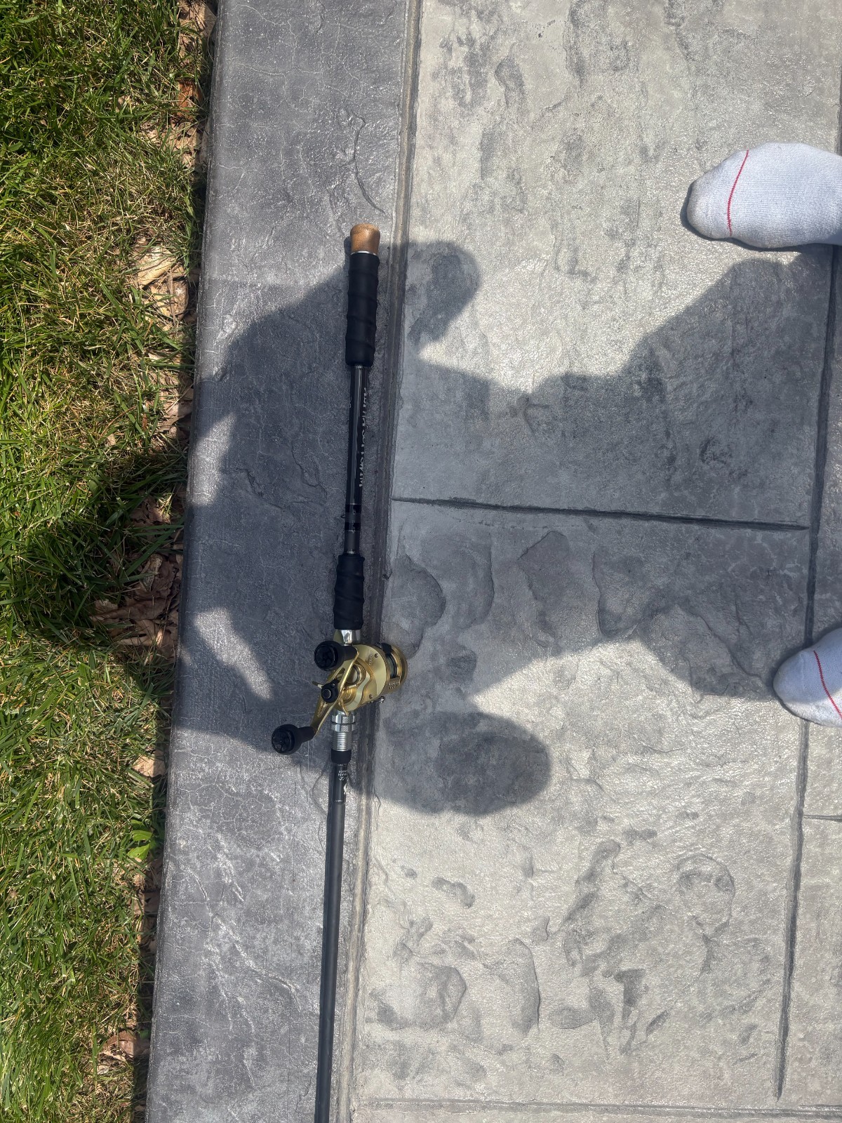 Alpha SoftSwim Silver Swimbait Rod