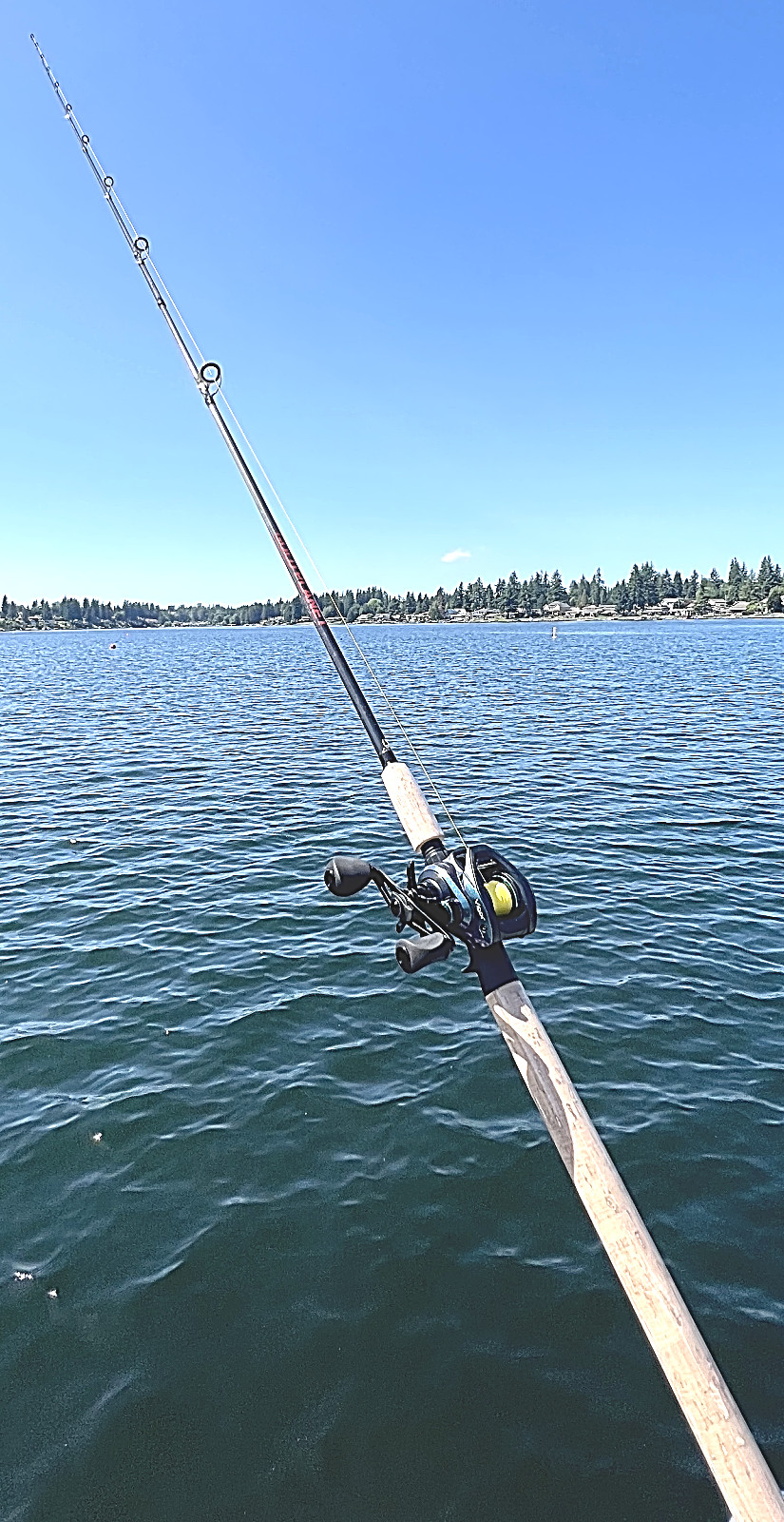 Fishing Pole Spinning Casting Rod Carbon Fiber Portable Medium Fast Lightweight